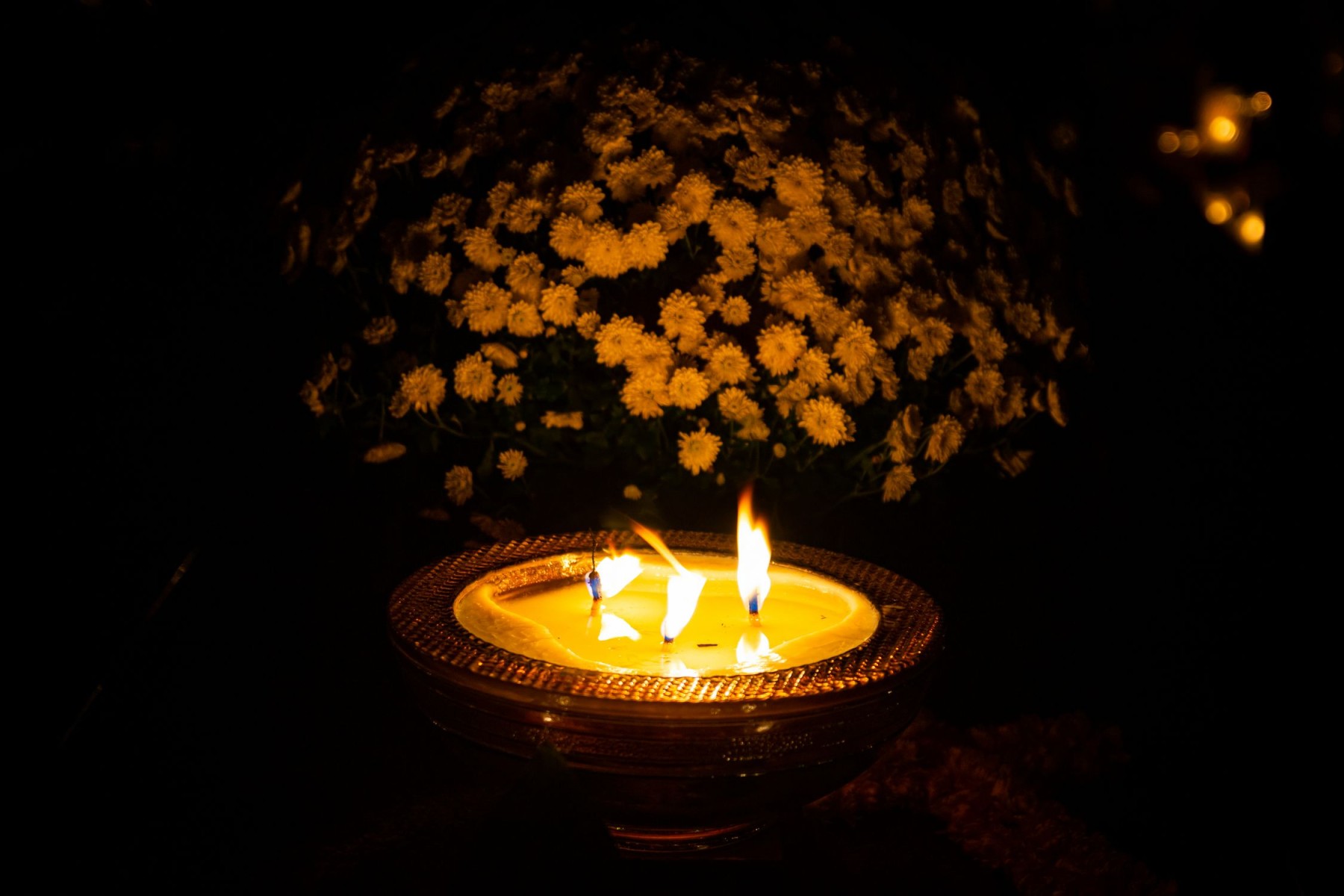 You are currently viewing Zmarł + Adam Stolarczyk z Filic